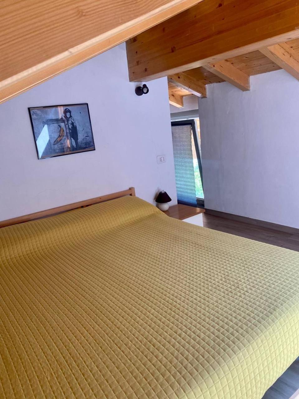 Ruti'S House Daire Cassano Magnago Dış mekan fotoğraf